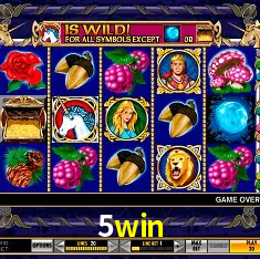 Security Systems 5win